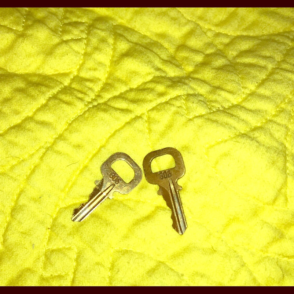 Authentic Louis Vuitton Set of Key’s # 306